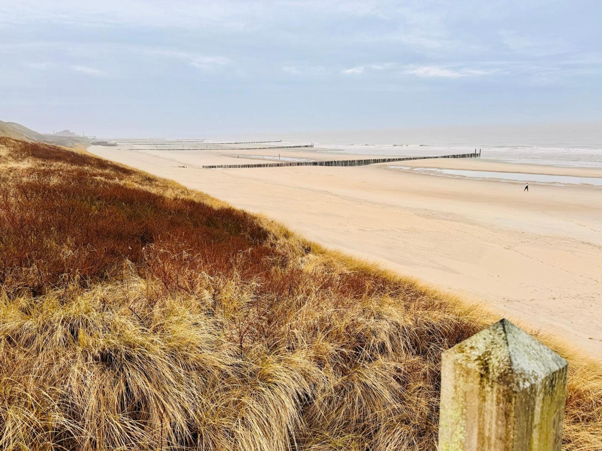 Beach & Forest Retreat -Domburg- Oostkapelle Εξωτερικό φωτογραφία