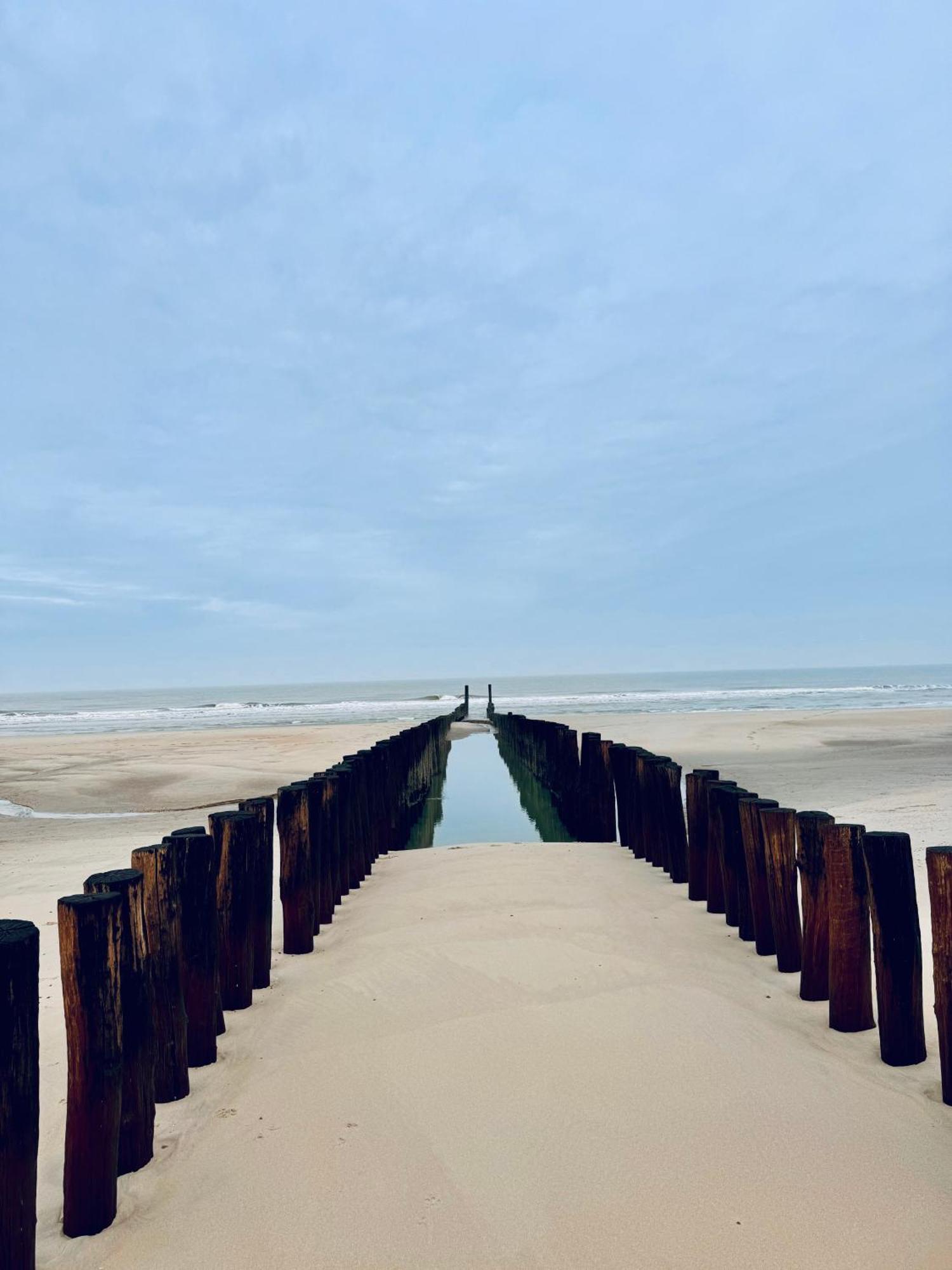 Beach & Forest Retreat -Domburg- Oostkapelle Εξωτερικό φωτογραφία