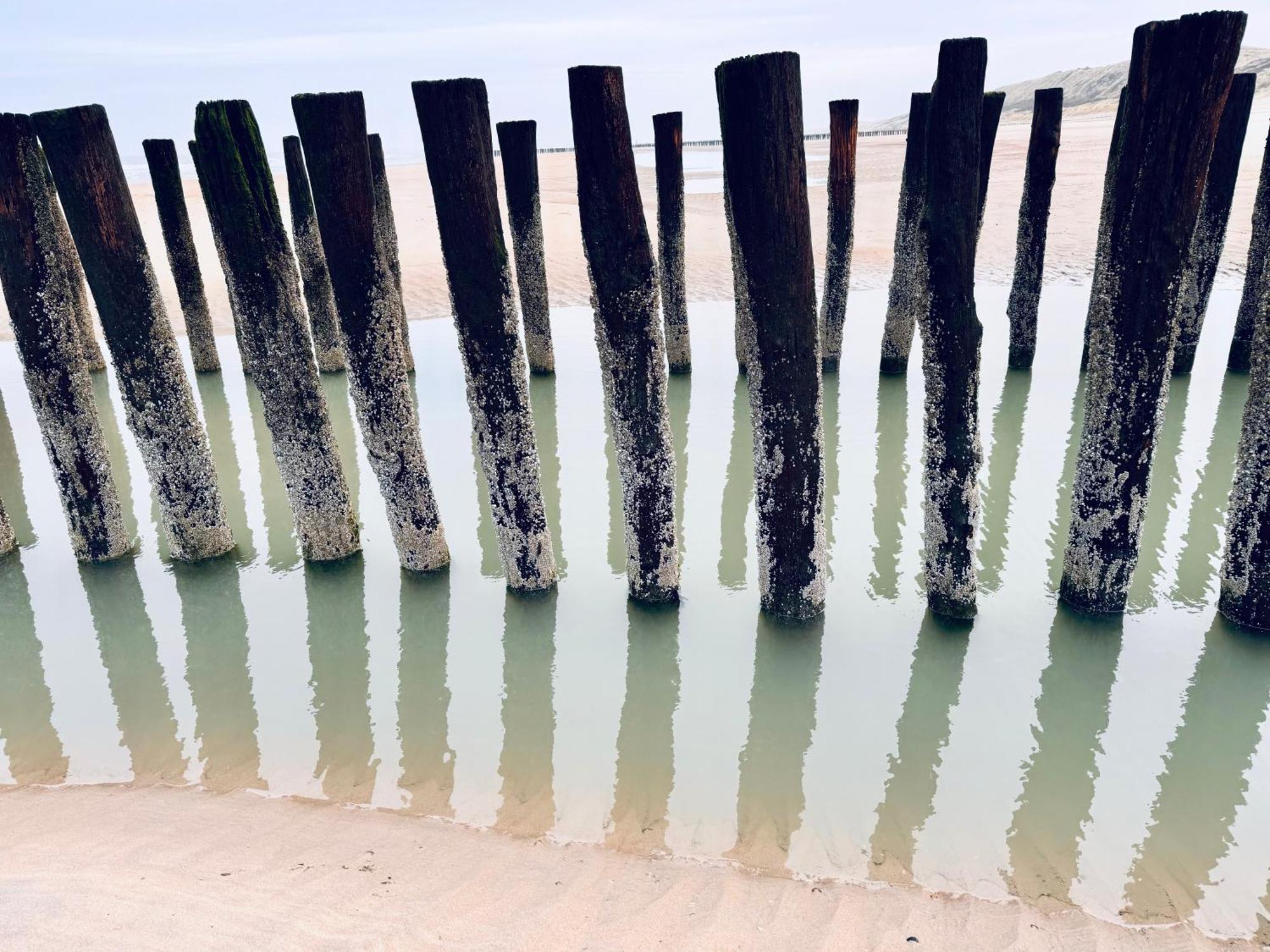 Beach & Forest Retreat -Domburg- Oostkapelle Εξωτερικό φωτογραφία