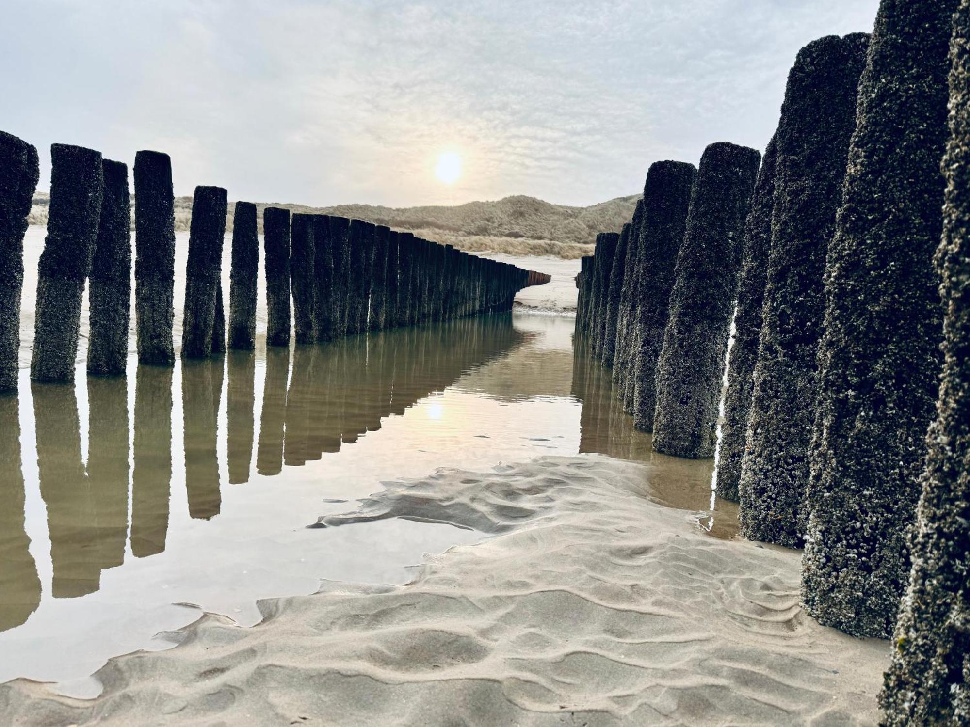 Beach & Forest Retreat -Domburg- Oostkapelle Εξωτερικό φωτογραφία