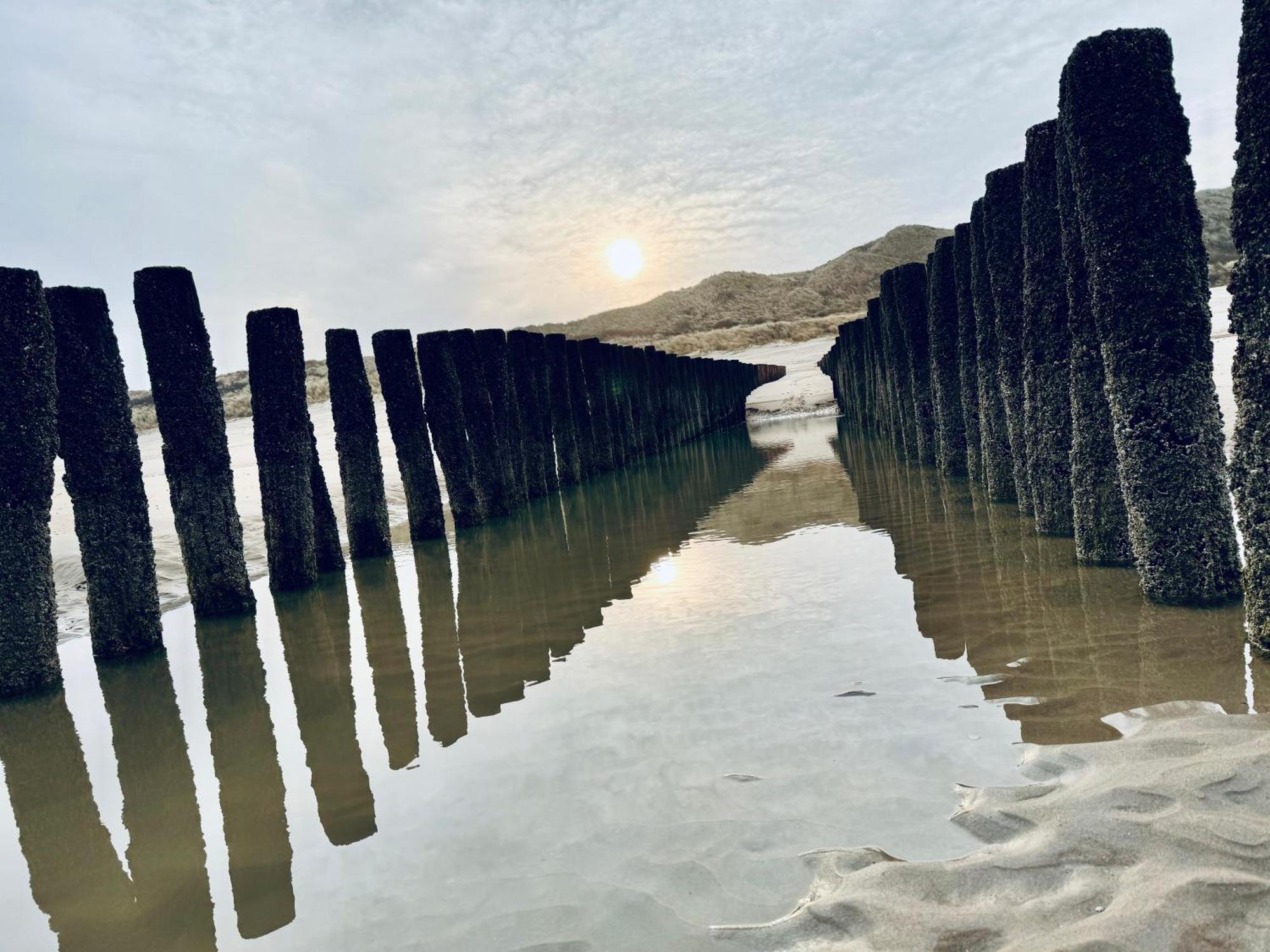 Beach & Forest Retreat -Domburg- Oostkapelle Εξωτερικό φωτογραφία