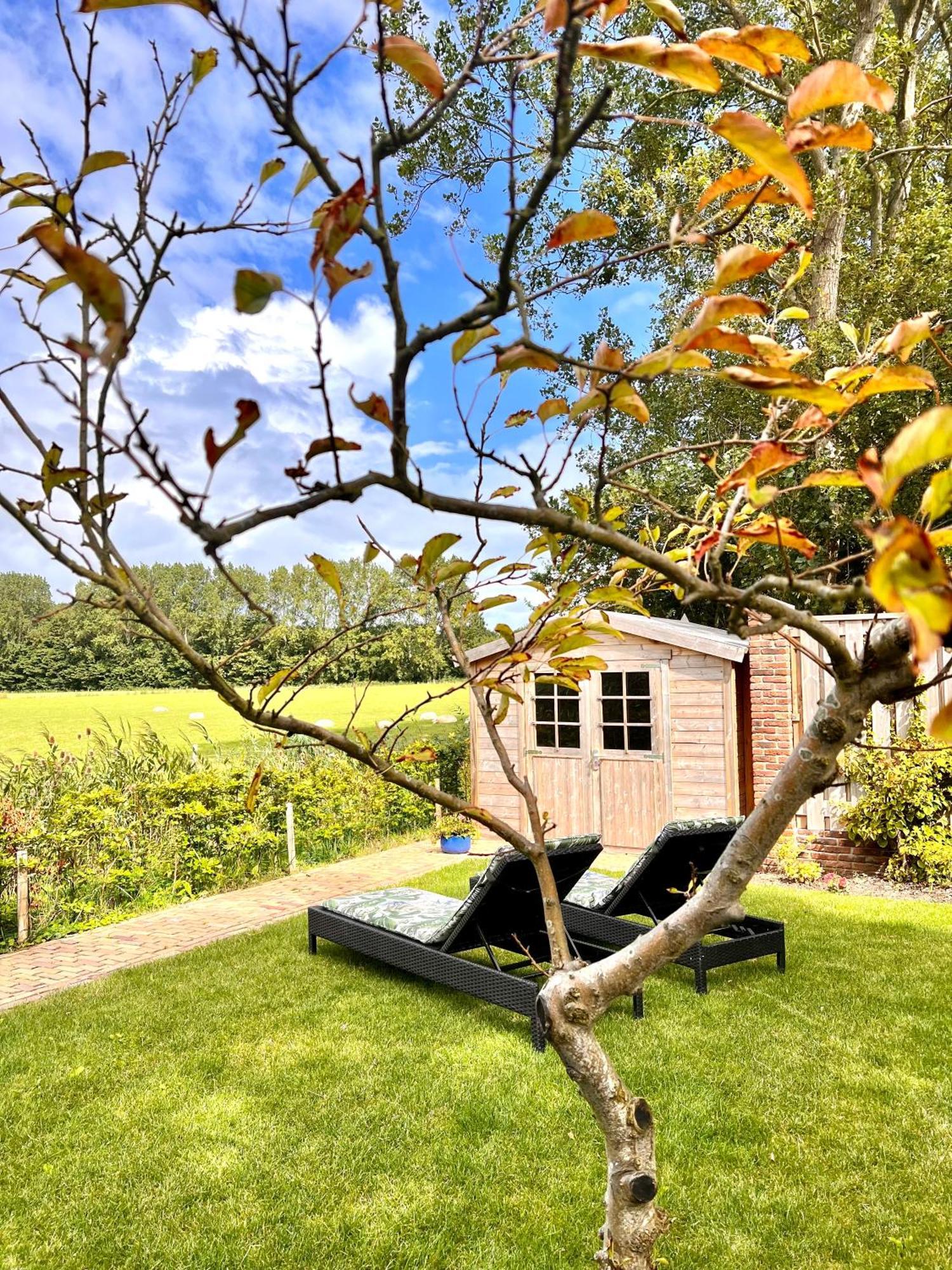 Beach & Forest Retreat -Domburg- Oostkapelle Εξωτερικό φωτογραφία