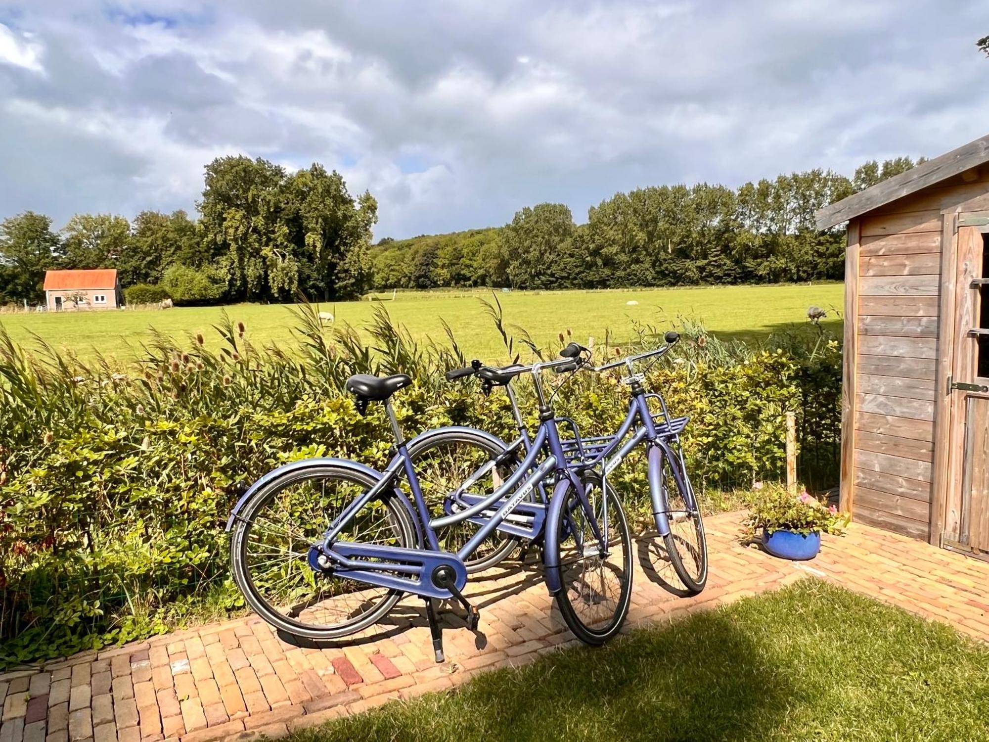 Beach & Forest Retreat -Domburg- Oostkapelle Εξωτερικό φωτογραφία