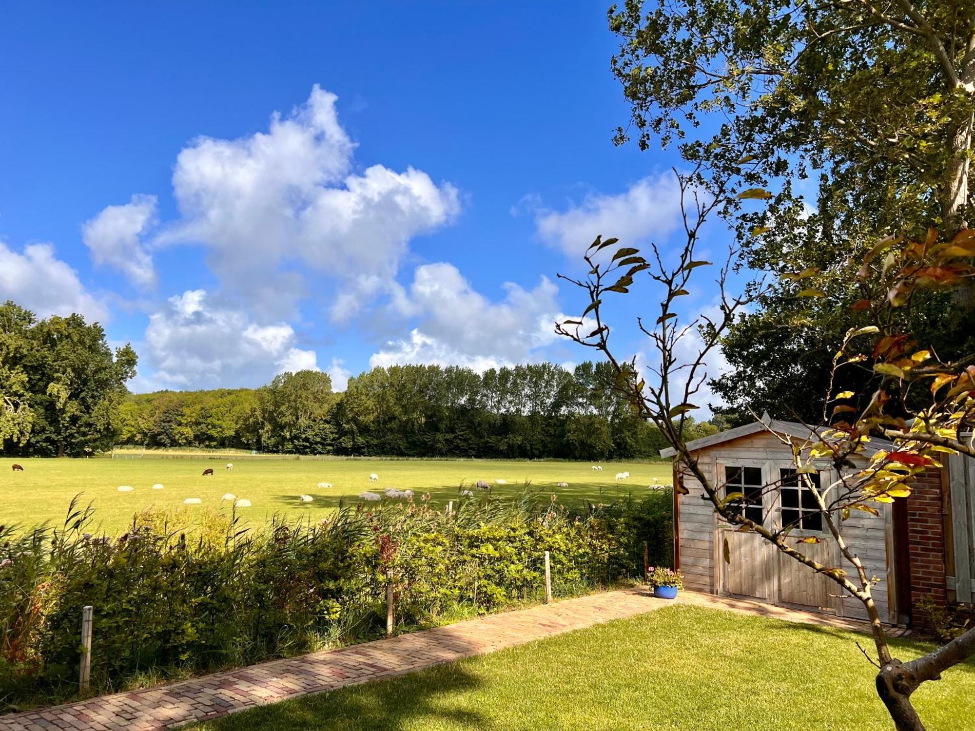 Beach & Forest Retreat -Domburg- Oostkapelle Εξωτερικό φωτογραφία